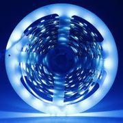Fita-LED-AZUL-GELO---5050-ALTO-BRILHO-rolo-5-metros-Ledsafe®-01